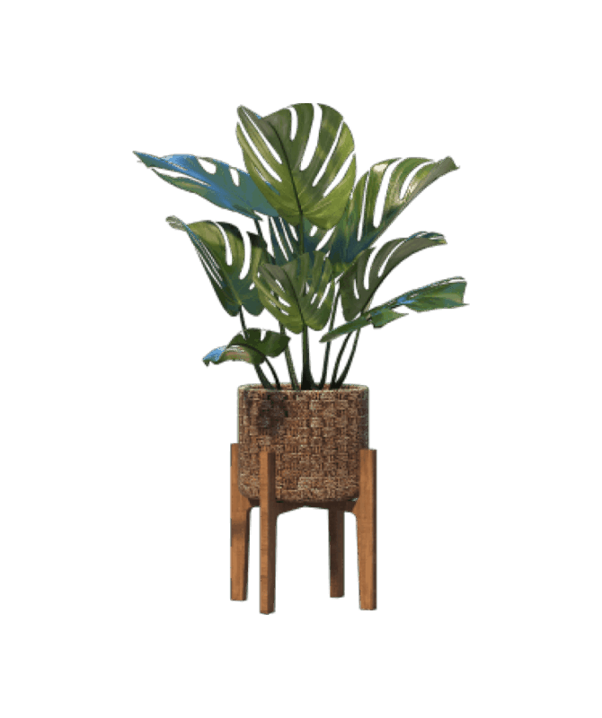 shop-bg-16